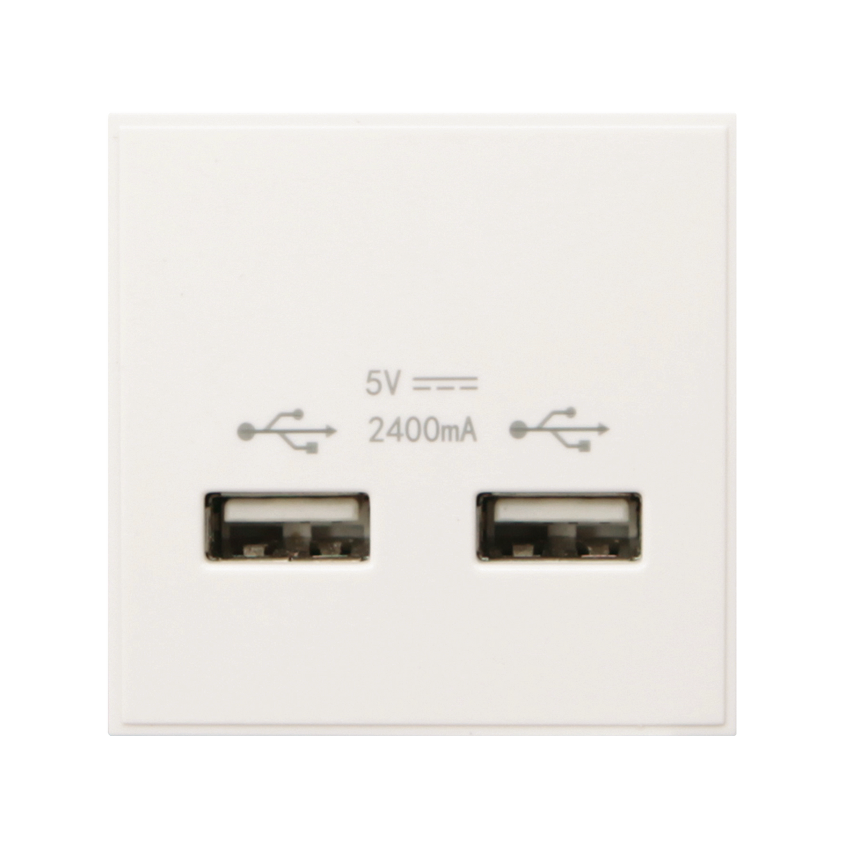 Caradok 2G 2400mA USB Charger 50x50, White